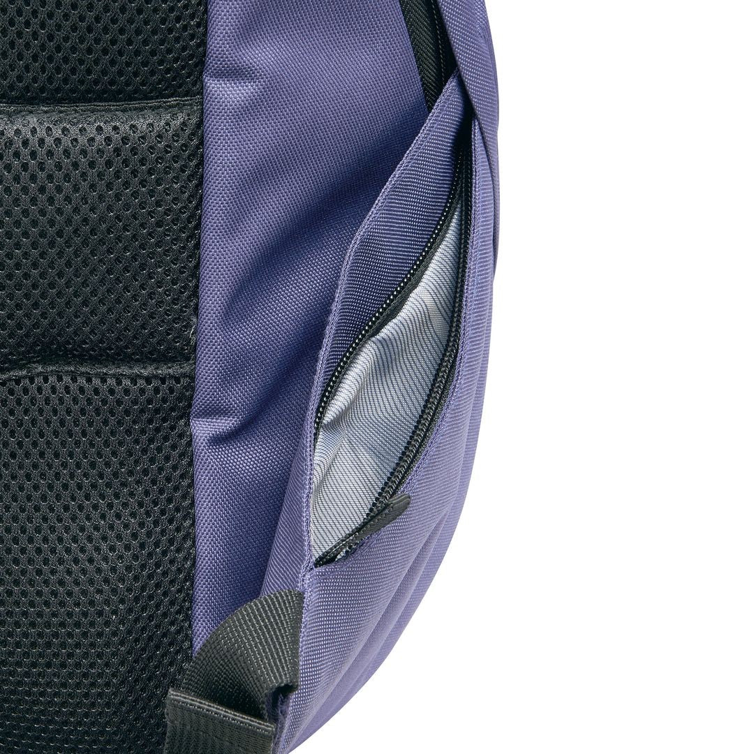 DELSEY  Mochila Securban 15.6"