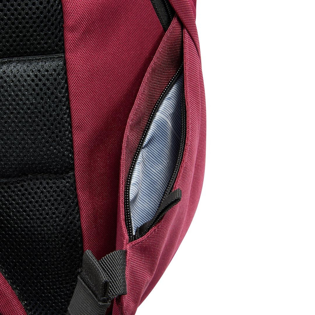 DELSEY Mochila Securban 13.3"