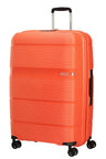 Linex de American Tourister  Spinner Talla Grande