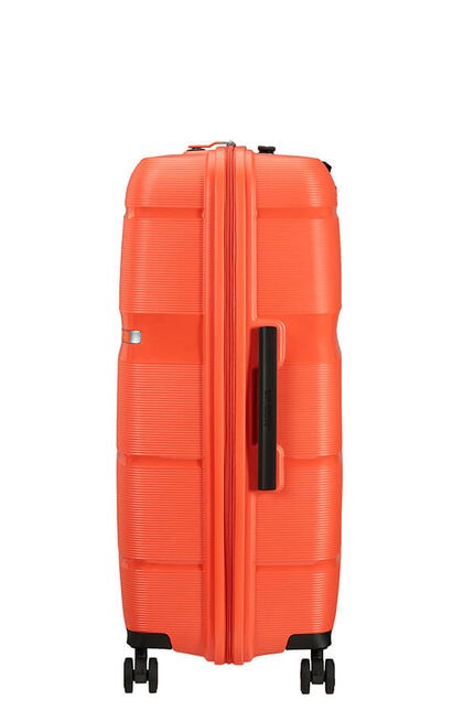 Linex de American Tourister  Spinner Talla Grande