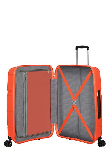 Linex de American Tourister  Spinner Talla Mediana