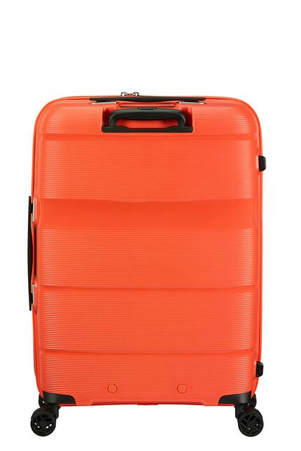 Linex de American Tourister  Spinner Talla Mediana