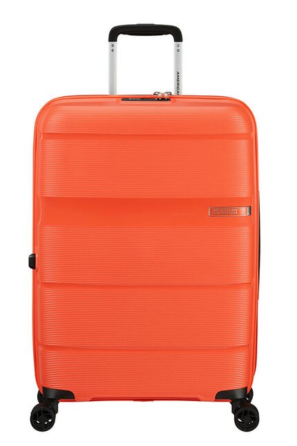 Linex de American Tourister  Spinner Talla Mediana