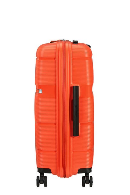 Linex de American Tourister  Spinner Talla Mediana